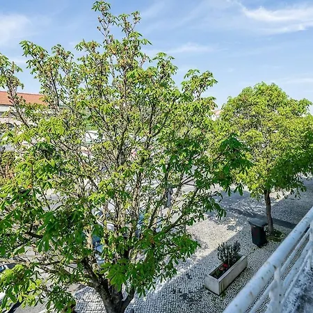 Like-home-t2 - House Garden Lisbon